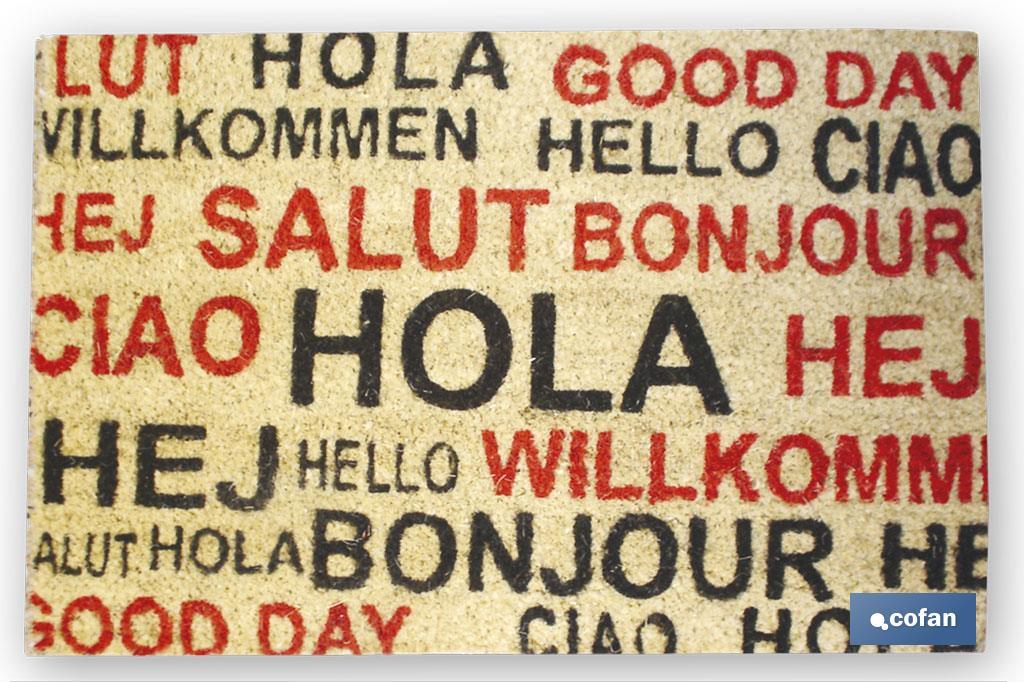 FELPUDO INTERIOR COCO PINTADO 40X60X1.50cm (Hola idiomas) (PACK: 1 UDS) FELPUDO INTERIOR COCO PINTADO 40X60X1.50cm (Hola idiomas) (PACK: 1 UDS)